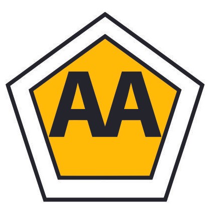 Professional mechanic working on car engine