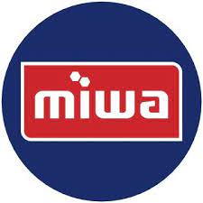 Professional mechanic working on car engine